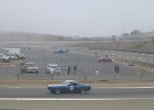 races 024